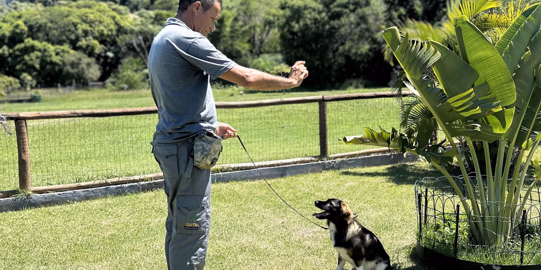 Adestrador dando comando à distância a um cão na guia, no gramado — adestramento de cães na Barra da Tijuca