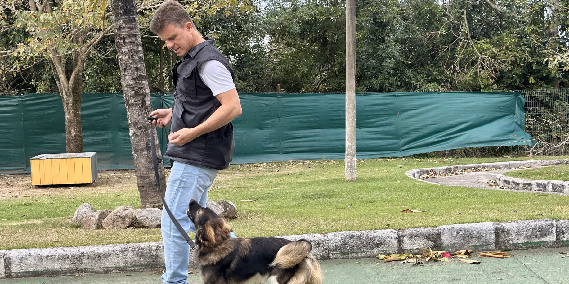 Pastor alemão deitado ao lado do adestrador em área cercada — adestramento de cães em Campo Grande