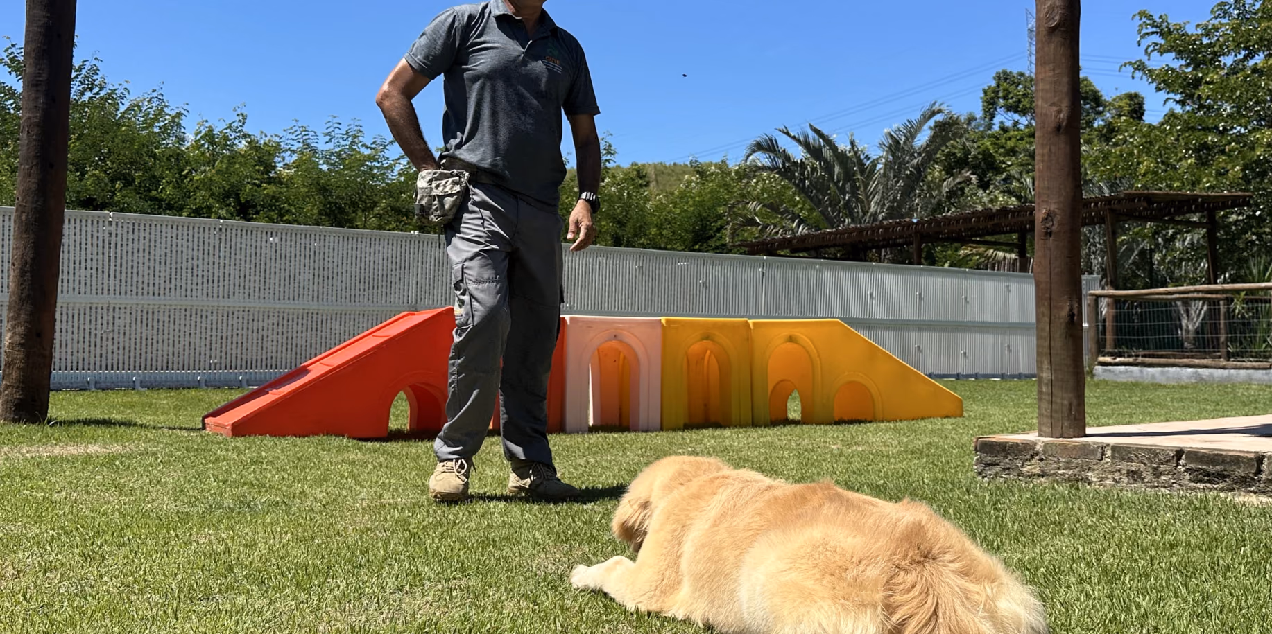 Golden retriever deitado no gramado ao lado do adestrador, junto ao túnel de agility — adestramento em Duque de Caxias