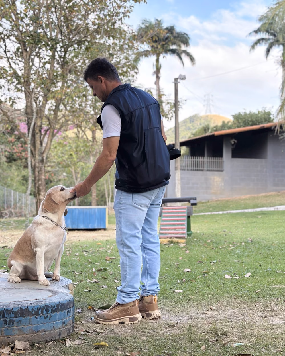 Adestrador recompensando com carinho um cão de pelo claro sobre a plataforma de treino — adestramento em Botafogo