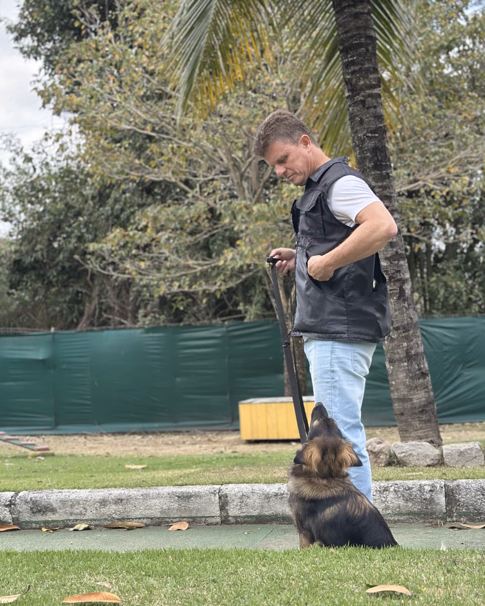 Adestrador conduzindo o exercício com um pastor alemão sentado à sua frente — adestramento em Campo Grande