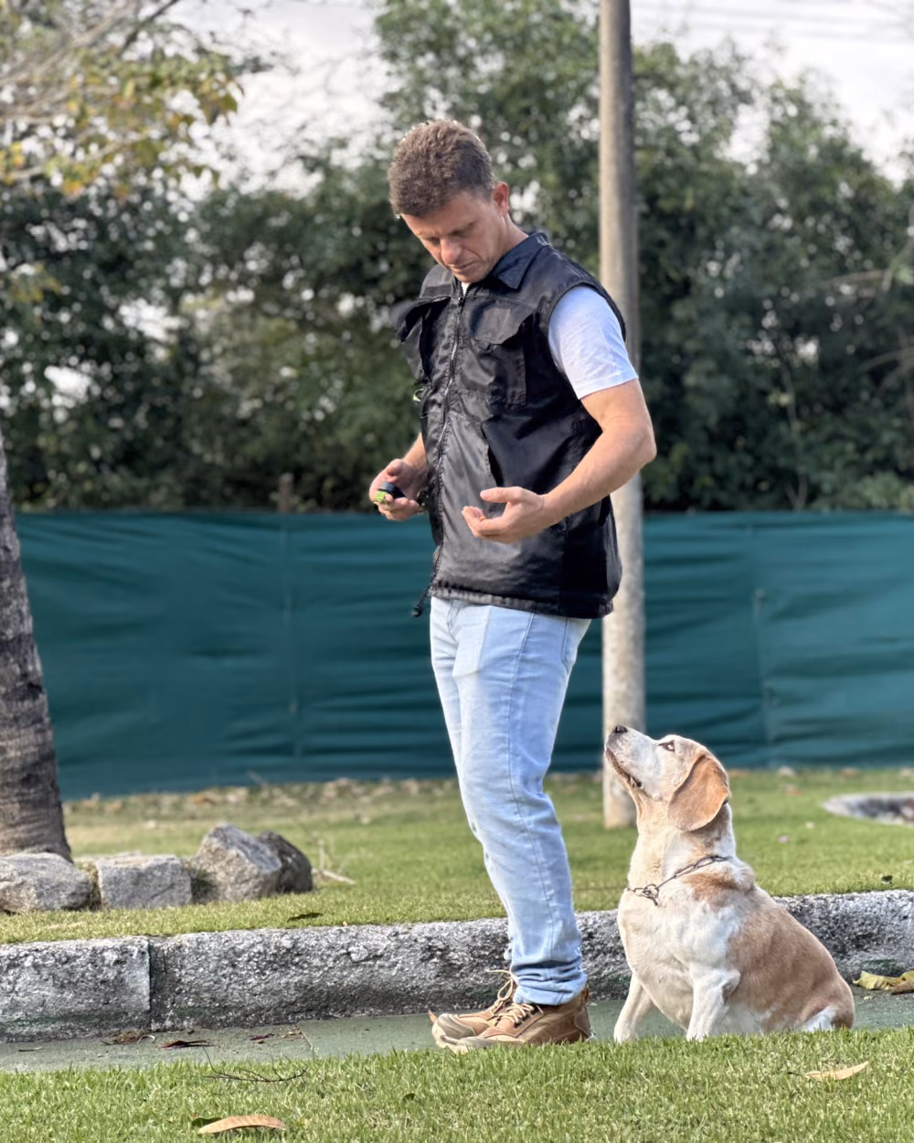 Adestrador conduzindo o exercício com um cão claro sentado à sua frente — adestramento de cães na Tijuca