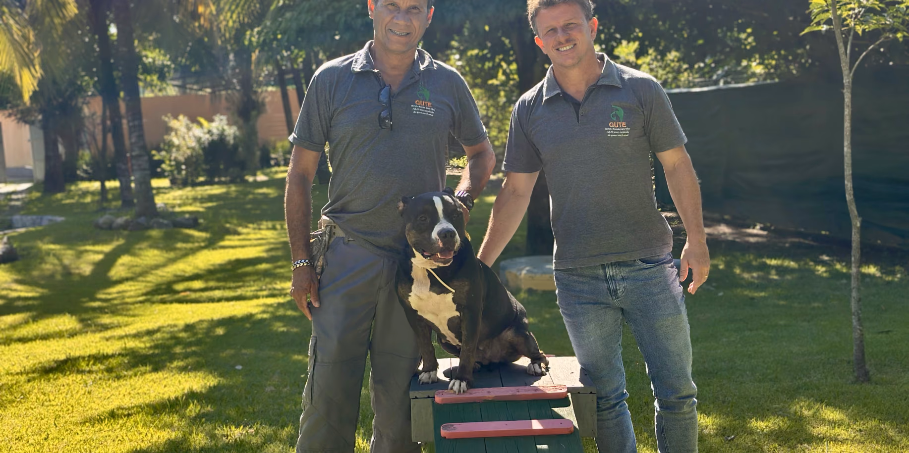 Dois adestradores conduzindo um cão preto sobre a plataforma de treino — adestramento de cães em Jacarepaguá