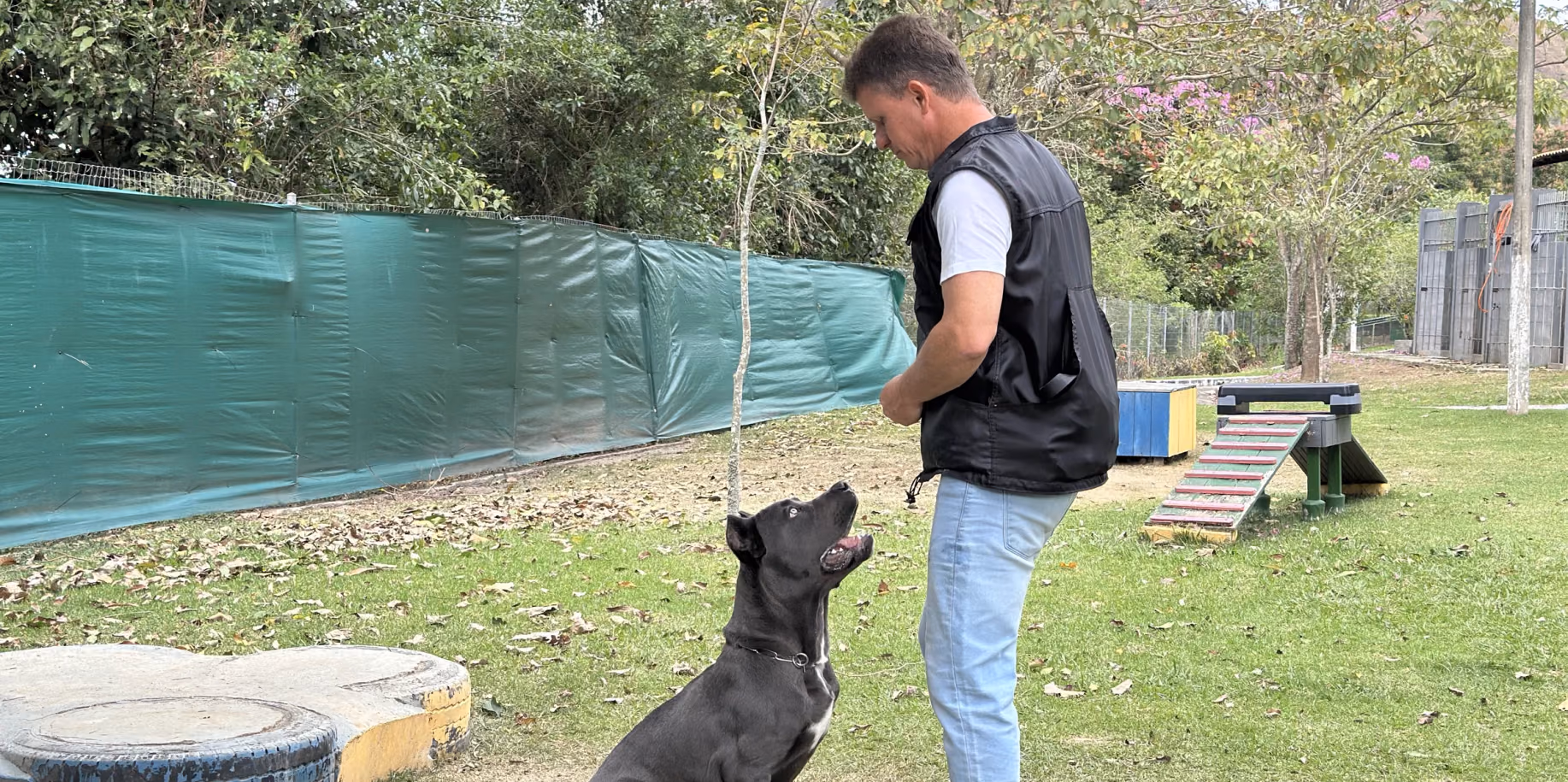 Cão preto de grande porte sentado à distância, atento ao adestrador — adestramento no Recreio dos Bandeirantes