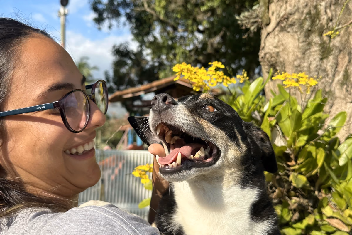 Chegou um bebê e o cão ficou reativo: o que fazer Cão calmo e supervisionado em ambiente familiar seguro