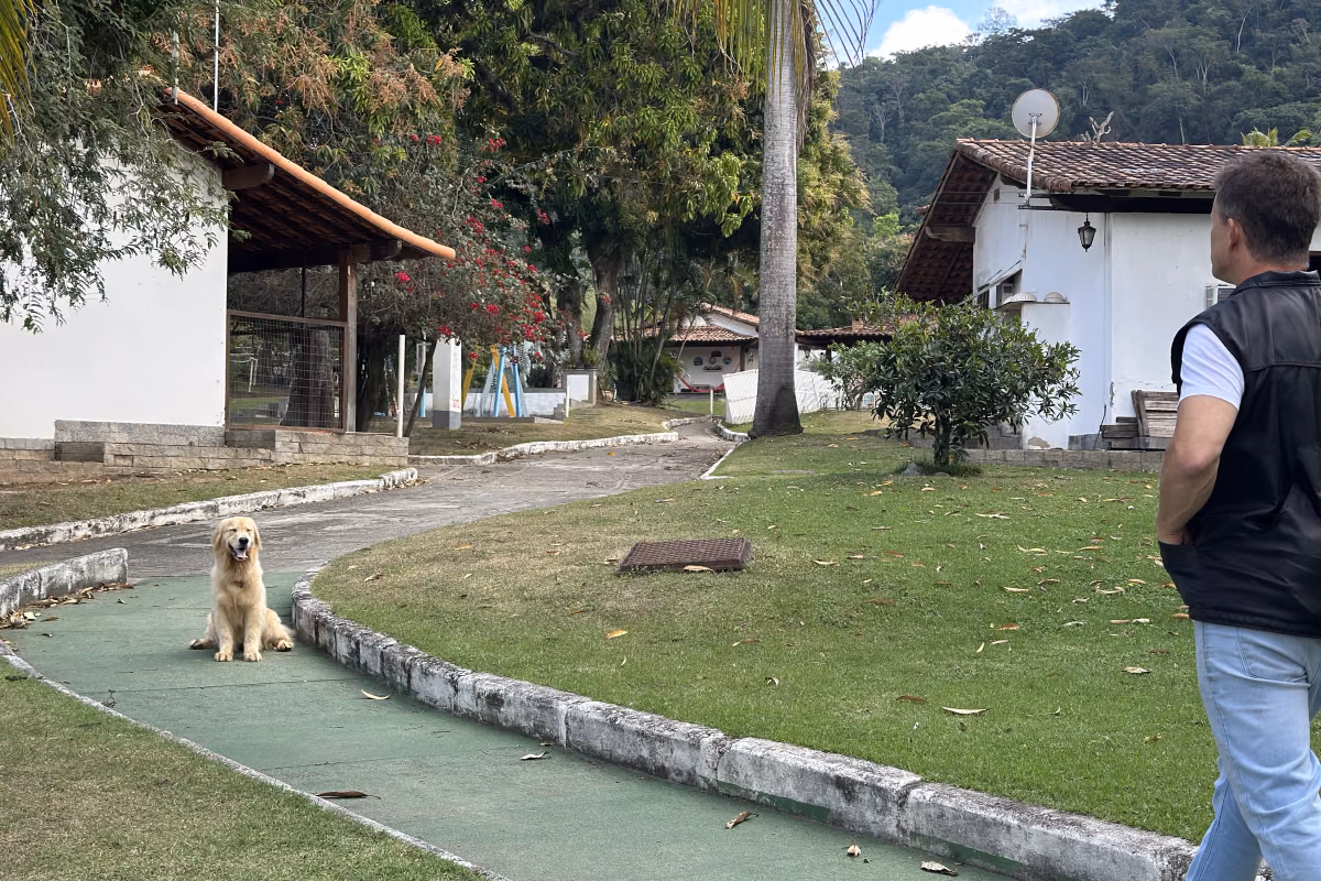 Quanto tempo o cachorro pode ficar sozinho? Cão descansando tranquilo em casa, ambiente enriquecido