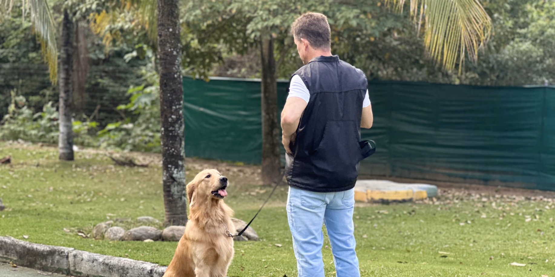 Adestramento para cães agressivos Adestrador conduzindo um cão sentado e atento no gramado do Gute Hotel e Escola para Cães