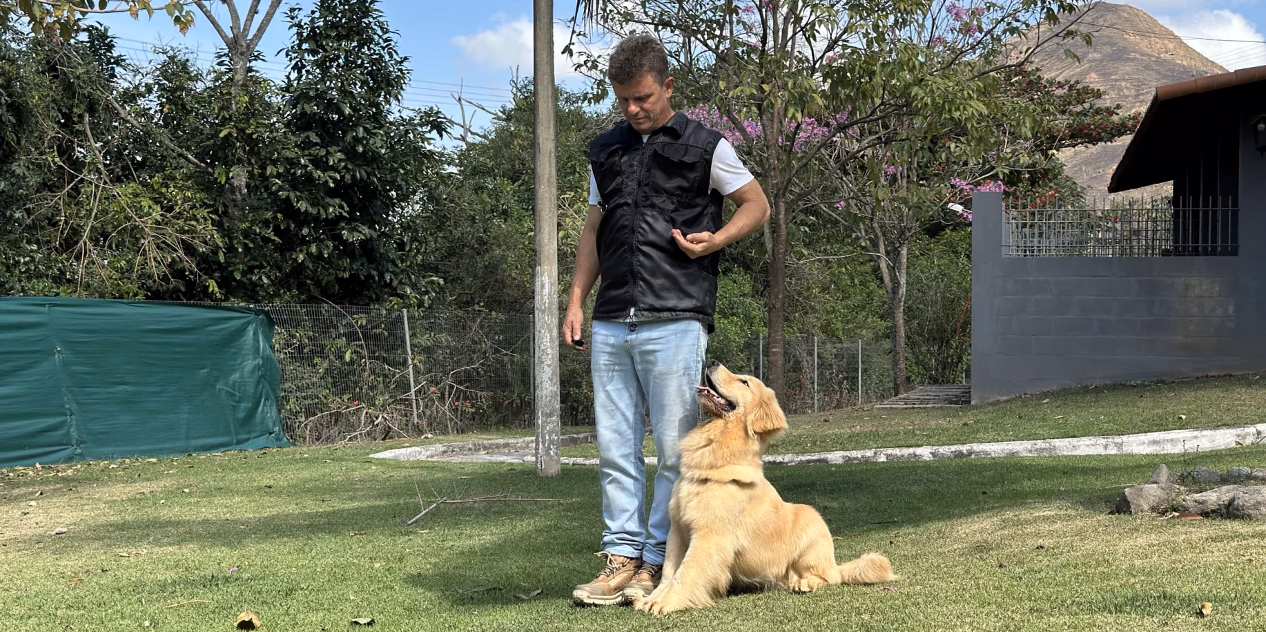 Cão sentado ao comando, atento ao adestrador ao lado, no gramado do Gute Hotel e Escola para Cães