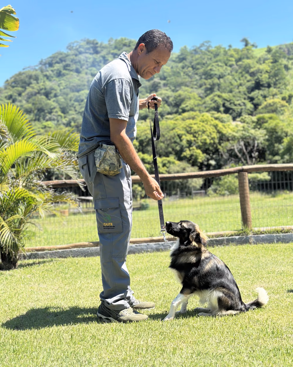 Adestrador conduzindo um cão pela guia no Gute Hotel e Escola para Cães