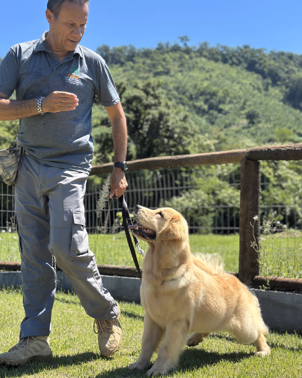 Adestrador caminhando com um cão na guia no Gute Hotel e Escola para Cães